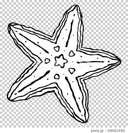 ヒトデのイラスト素材 69082480 Pixta