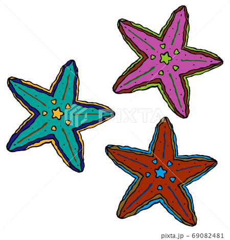 ヒトデのイラスト素材