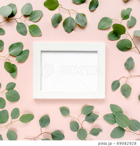 White frame is decorated with green eucalyptus leaves, roses, floral pattern on a pink background. The apartment lay, top view. Floral frame. White frame is decorated with green eucalyptus leaves, roses, floral pattern on a pink background. The apartment lay, top view. Floral frame. 69082928