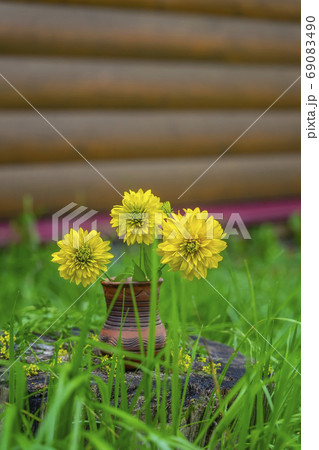 Bouquet of yellow flowers in ceramic vase, green grass, old tree stump, rustic still life, countryside concept Bouquet of yellow flowers in ceramic vase, green grass, old tree stump, rustic still life, countryside concept 69083490