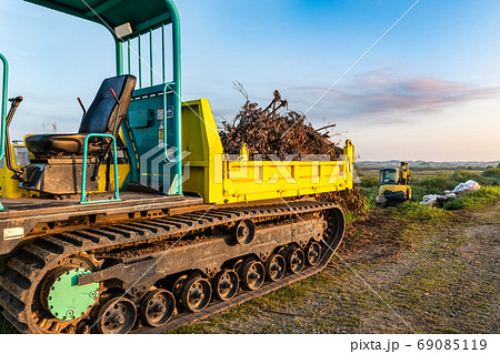 無限軌道運搬車と野積みされた枯れた雑木の写真素材