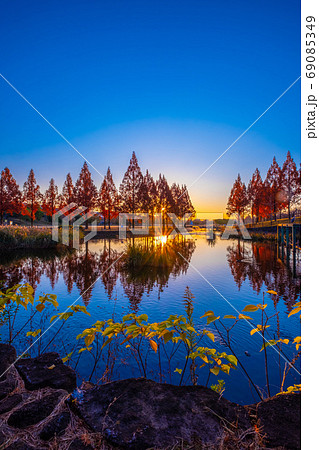 打上川治水緑地の夕景 打上川治水緑地の夕景 69085349