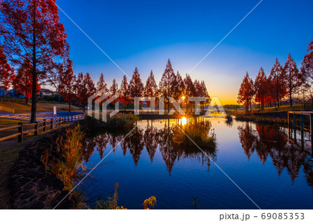 打上川治水緑地の夕景 69085353