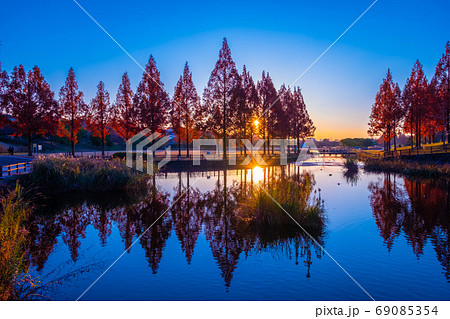 打上川治水緑地の夕景 69085354