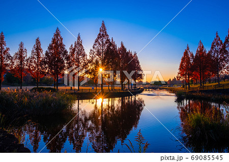 打上川治水緑地の夕景 打上川治水緑地の夕景 69085545