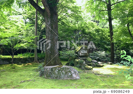 苔むす清水寺の庭園風景 69086249
