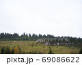 A large green field with trees in the background 69086622