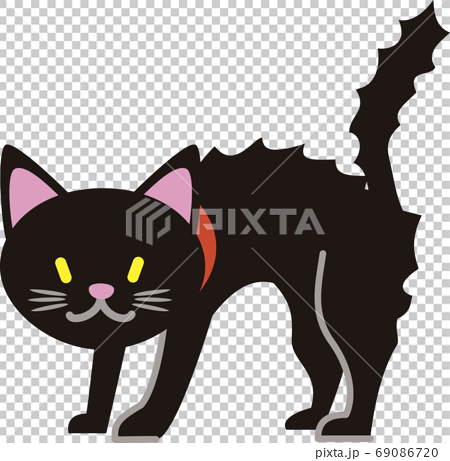 怒る黒猫のイラスト素材
