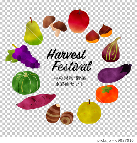 watercolor vector　秋の果物野菜セット水彩	 69087016