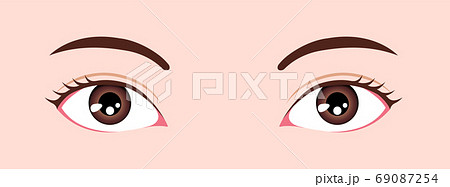 目 眼の種類 ベクターイラスト 下三白眼のイラスト素材