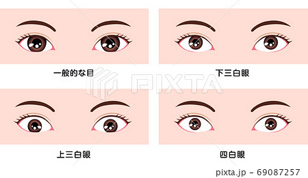 目 眼の種類 ベクターイラスト 三白眼 四白眼 のイラスト素材
