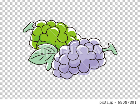 Image of two grapes and leaves Image of two grapes and leaves 69087891