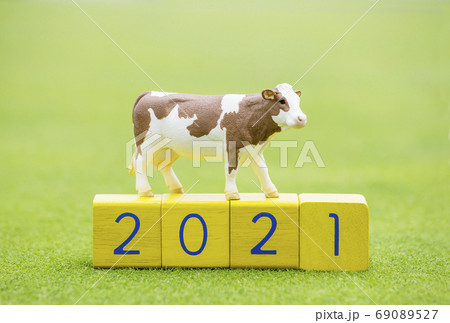 年賀状素材 牛と草原 2021年年賀素材 丑年ポストカード イメージ素材 年賀状素材 牛と草原 2021年年賀素材 丑年ポストカード イメージ素材 69089527