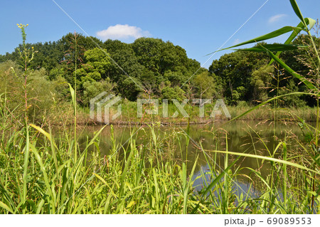 自然観察窓からの風景　東京都足立区舎人公園 69089553