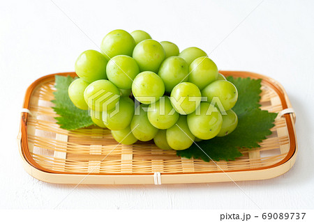 シャインマスカット シャインマスカット 69089737