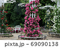 バラの花 69090138