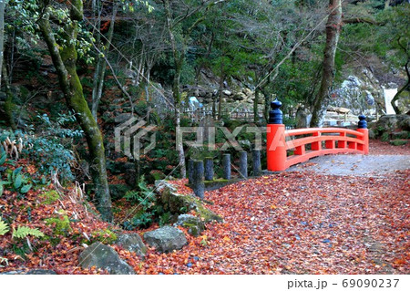 秋の岐阜公園・39（岐阜市長良） 69090237