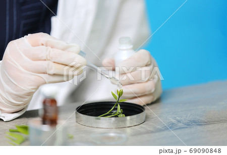 Concept of the scientist,doctor, make alternative herb medicine with herbal the organic 69090848