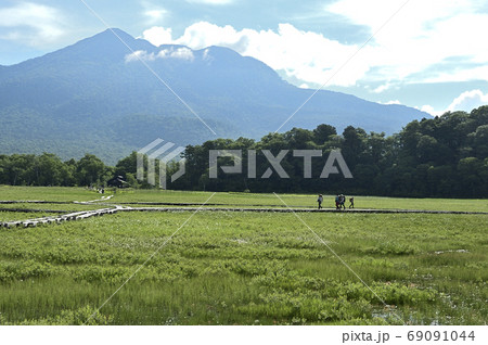 初夏の湿原風景 69091044