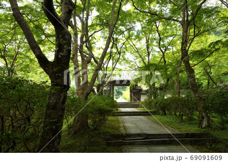 薬樹山延命寺 山門(河内長野市) 薬樹山延命寺 山門(河内長野市) 69091609