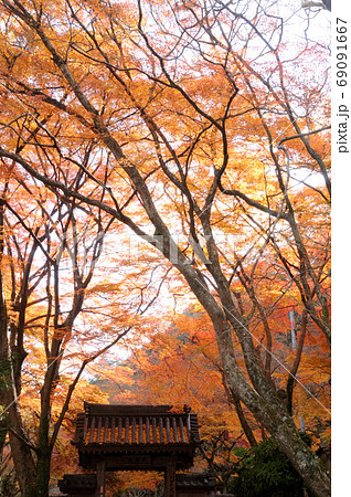 牛滝山大威徳寺 山門 牛滝山大威徳寺 山門 69091667
