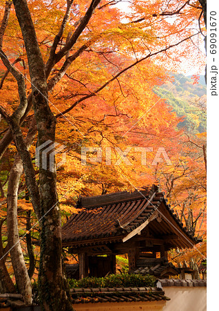 牛滝山大威徳寺 山門 牛滝山大威徳寺 山門 69091670