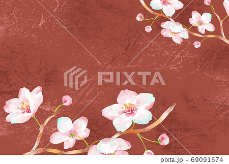 和風な桜のイラストのイラスト素材