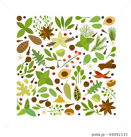 Spice shop design template, herbs and spices background Spice shop design template, herbs and spices background 69092135