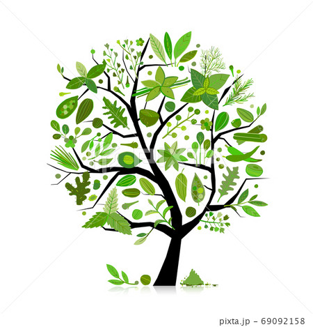 Spice shop, concept image, herbs and spices collection on tree for your design Spice shop, concept image, herbs and spices collection on tree for your design 69092158
