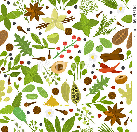 Herbs and spices background, seamless pattern for your design 69092160