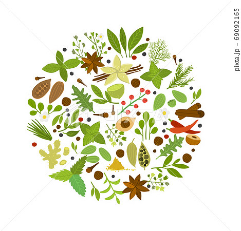 Spice shop, herbs and spices collection for your design 69092165