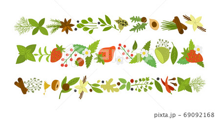 Spicy and berries collection, sketch for your design Spicy and berries collection, sketch for your design 69092168