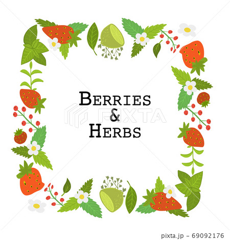 Berries and herbs. Background design with sample your text Berries and herbs. Background design with sample your text 69092176