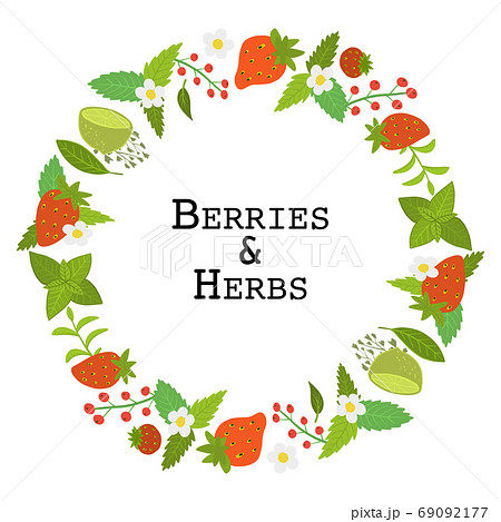 Berries and herbs. Background design with sample your text Berries and herbs. Background design with sample your text 69092177