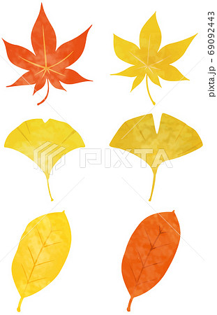 秋の葉っぱ 紅葉 のイメージイラストセット ベクターデータ のイラスト素材