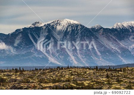 Alaska landscape travel tourist fall destination for autumn cruise season. Mountain range far away in the background with tundra and pine forest trees. 69092722