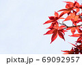 モミジの葉　秋の紅葉 69092957