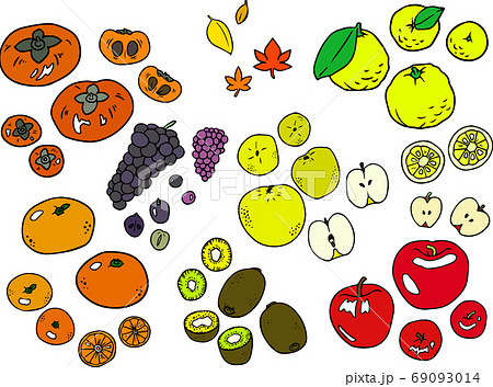 秋の味覚で代表的な旬の果物 フルーツセット 断面 真上から見たイメージのイラスト素材