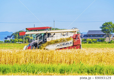 麦　収穫イメージ　　 69093129