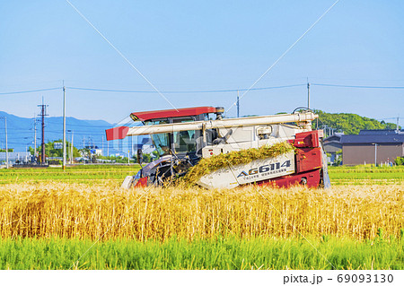 麦 収穫イメージ 麦 収穫イメージ 69093130