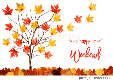 Tree With Colorful Leaf Decoration, Leaves Flying Tree With Colorful Leaf Decoration, Leaves Flying 69094451