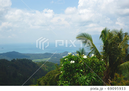sea and mountain views among tropical greenery sea and mountain views among tropical greenery 69095933