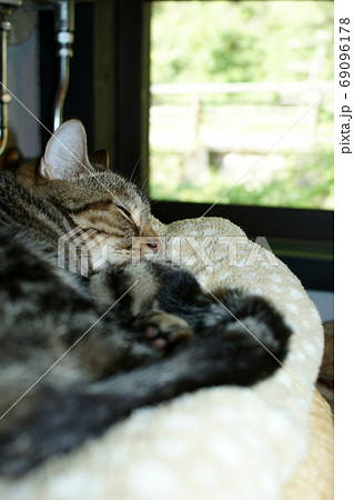 鳥取　四季の散歩　板井原集落 69096178