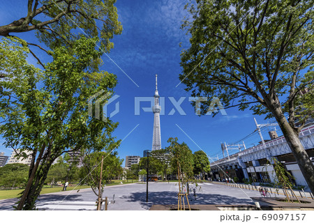 浅草 隅田公園と東京スカイツリーの風景の写真素材