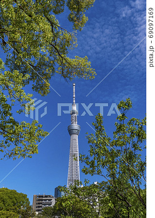 浅草 隅田公園と東京スカイツリーの風景 浅草 隅田公園と東京スカイツリーの風景 69097169