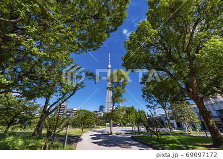 浅草 隅田公園と東京スカイツリーの風景 浅草 隅田公園と東京スカイツリーの風景 69097172