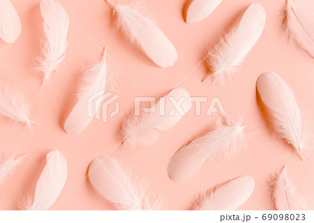 White feather texture on a pink background. Feather background. Flat lay, top view 69098023