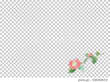Thanksgiving gift camellia A4 horizontal size Thanksgiving gift camellia A4 horizontal size 69098659