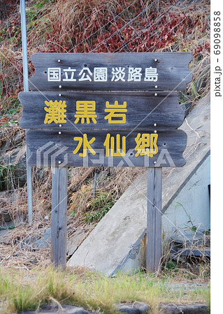 兵庫県淡路島　灘黒岩水仙郷 69098858