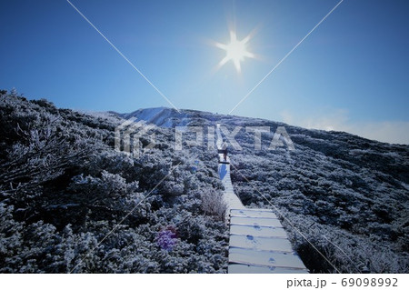 雪をかぶった早朝の登山道を一番乗りで歩いていく後ろ姿。 69098992